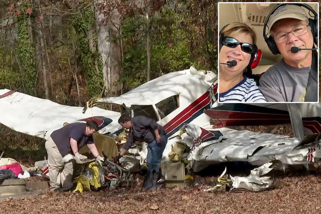 Illinois Grandparents Die in a Plane Crash on the Way to Celebrate ...