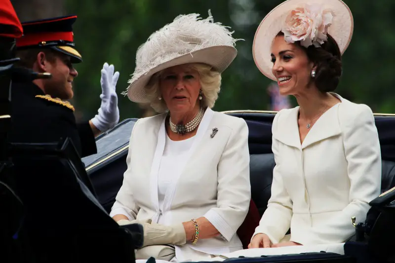 Prince Harry Hurls Accusations Against King Charles’ Wife Camilla ...