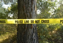 Missing Grandmother Found Dead in the Woods crime scene, police tape, police line, investigation, forest, woods, tree, evidence
