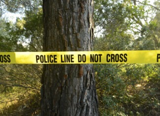 Missing Grandmother Found Dead in the Woods crime scene, police tape, police line, investigation, forest, woods, tree, evidence