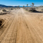 49 Stranded Truck Passengers Found Dead dirt road, desert, Joshua trees, mountains, remote area, unpaved road, arid landscape, wilderness