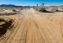 49 Stranded Truck Passengers Found Dead dirt road, desert, Joshua trees, mountains, remote area, unpaved road, arid landscape, wilderness