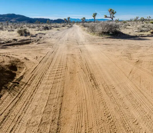 Mystery Six Bodies Found In Mojave Desert Headline Reporter