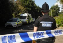 Electric Car Kills Five-Year-Old Boy