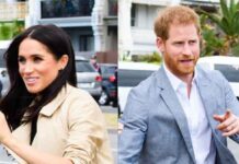 Prince Harry May Return to Royal Life Alone