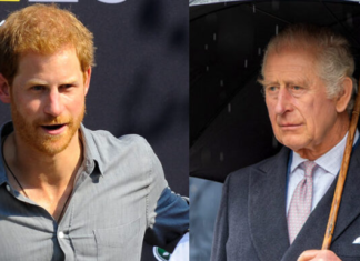 King Charles Delivers Crushing Blow to Prince Harry