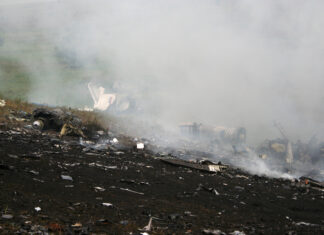 Millionaire CEO and 3 Others Die in Plane Crash