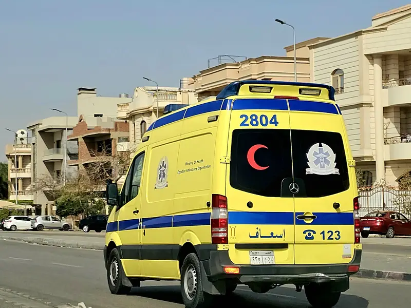 dreamstime_s_312876371