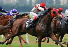 Horse Race Massacre: 7 Fatally Shot at Track