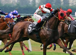 Top Jockey Dead After Racing Fall horse racing, jockey, racetrack, competition, thoroughbred, race horses, saddle, equestrian sport