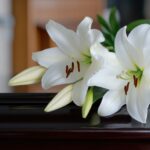 Senator Killed in Five-Car Wreck