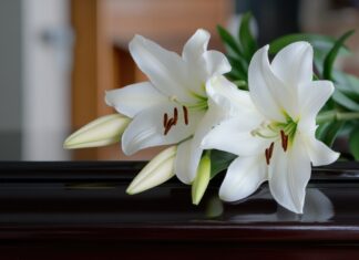 Senator Killed in Five-Car Wreck