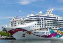 Cruise Ship Horror: Passenger Lost at Sea