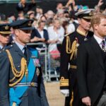 Prince William Wants Harry and Meghan Markle Frozen Out