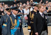 Prince William Wants Harry and Meghan Markle Frozen Out