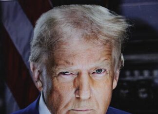 JFK Family Member Destroys Trump in Scathing Takedown Donald Trump, president, former president, politician, Republican