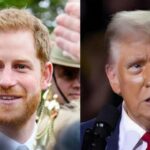 Prince Harry Confronts Donald Trump in Desperate Move