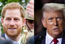 Prince Harry Confronts Donald Trump in Desperate Move