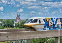 Disney Guest Dies in Suicide Jump