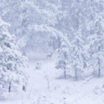 Missing Teacher Found Frozen to Death