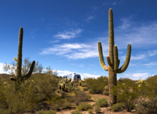 New Evidence Found About Savannah Guthrie’s Missing Mom