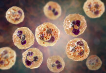 2 Dead, 11 Sick in University Virus Outbreak