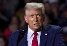 Trump’s Gaffe Leaves Nation Perplexed Trump Stabs VP Vance in the Back