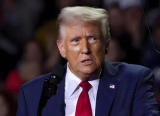 Trump’s Gaffe Leaves Nation Perplexed Trump Stabs VP Vance in the Back