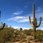 Nancy Guthrie Investigation Suddenly Heats Up Airstream Trailer Desert Camping