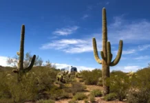 Nancy Guthrie Investigation Suddenly Heats Up Airstream Trailer Desert Camping
