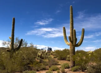 Nancy Guthrie Investigation Suddenly Heats Up Airstream Trailer Desert Camping