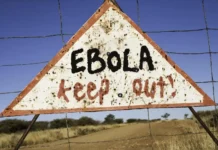 Dozens Dead: Terrifying Illness Spreads Dozens Dead: Terrifying Illness Spreads (ebola – dreamstime_s_45981768)