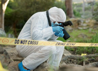 Missing Student Found Dead Crime Scene Investigation