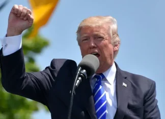 Trump’s Former Lawyer Unloads in Bombshell Interview trump-2546104_1920