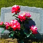 JonBenet Ramsey Case: Major Development After Decades Cemetery Headstone with Flowers