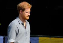 Prince Harry May Return to Life as Royal Prince Harry Public Appearance