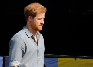 Prince Harry May Return to Life as Royal Prince Harry Public Appearance