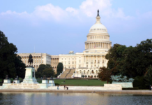 Senate Candidate Drops Stunning Claim About Melania and Trump Senate Candidate Drops Stunning Claim About Melania and Trum (dreamstime_s_1547466)