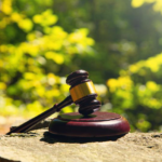 191 Died in One of Worst Cult Disasters 191 Died in One of Worst Cult Disasters (judge gavel forest dreamstime_s_476624076)