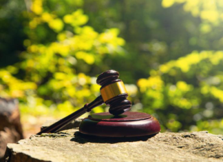 191 Died in One of Worst Cult Disasters 191 Died in One of Worst Cult Disasters (judge gavel forest dreamstime_s_476624076)