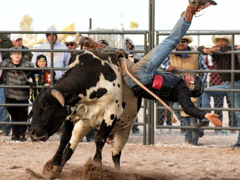 Bull Rider Dies After Horrific Rodeo Accident (rodeo landscape dreamstime_s_63798379)